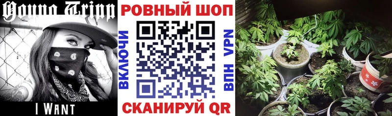 Купить ГЕРОИН  МЕФ  ГАШИШ  АМФ  Новозыбков