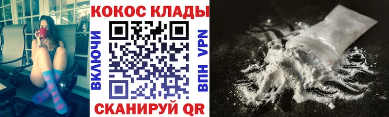 Купить закладки  Новозыбков  Cocaine Эквадор 