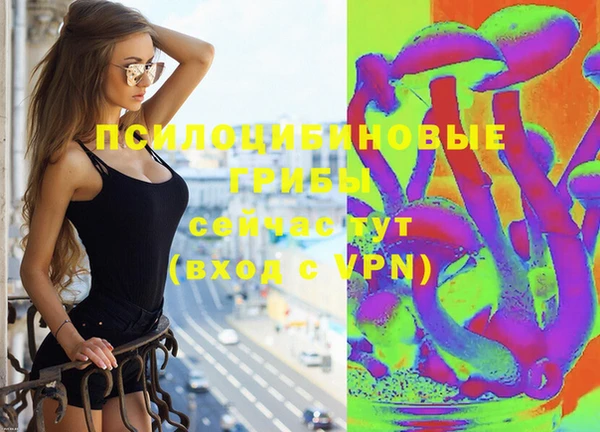 мяу мяу мука Кулебаки
