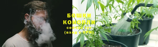 мяу мяу мука Кулебаки