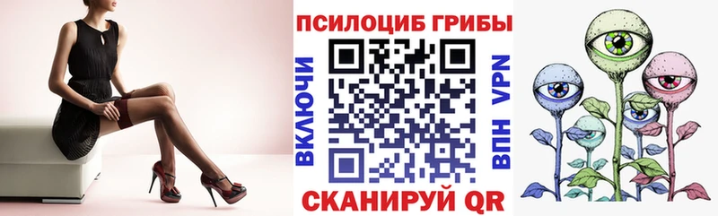 Купить закладки  Новозыбков  Галлюциногенные грибы мухоморы 